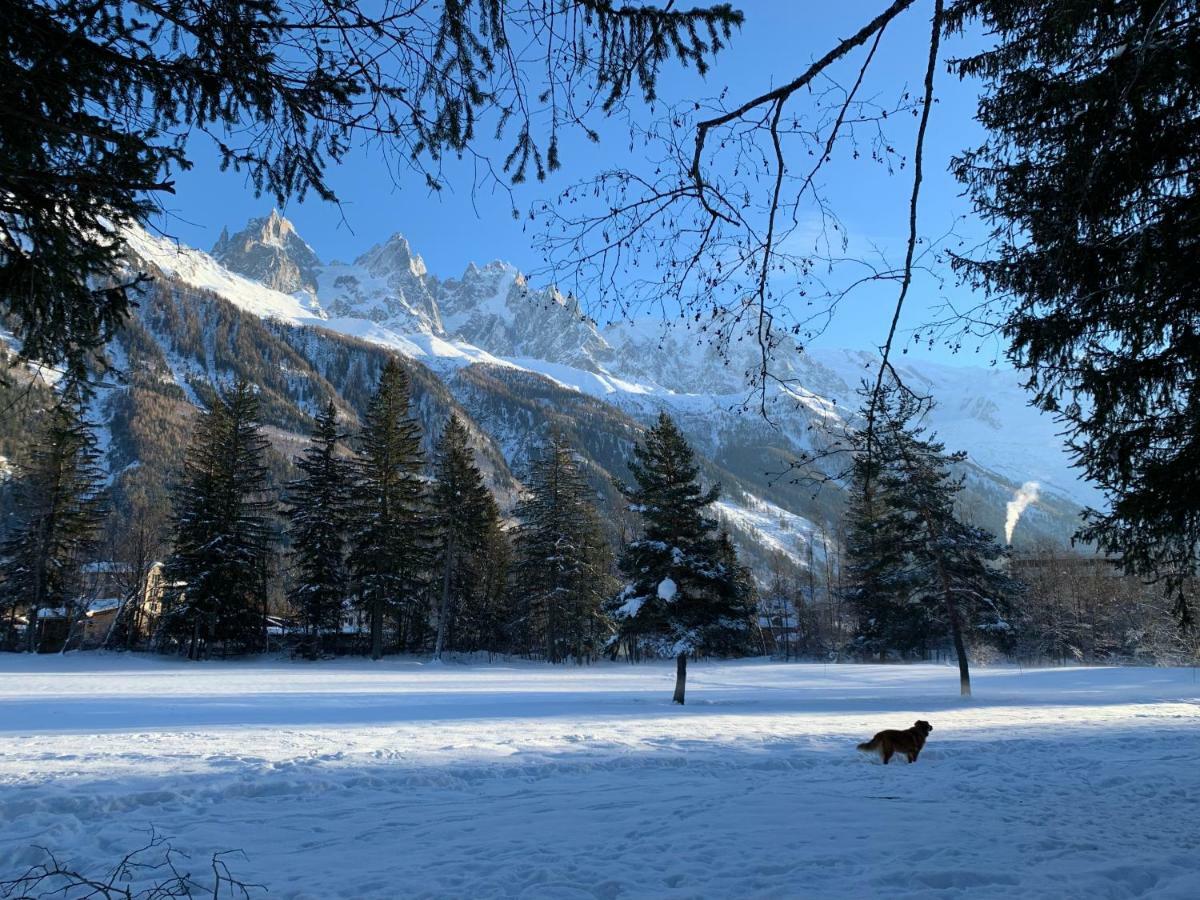 Apartment Maya, La Praz, Chamonix Mont Blanc Екстер'єр фото